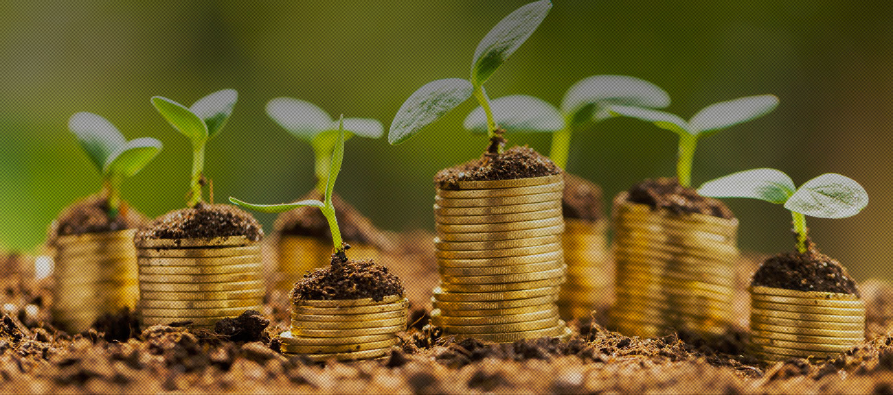 stacks of gold coins in soil with small plants sprouting from their tops
